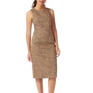 J Crew leopard print sleeveless shift dress